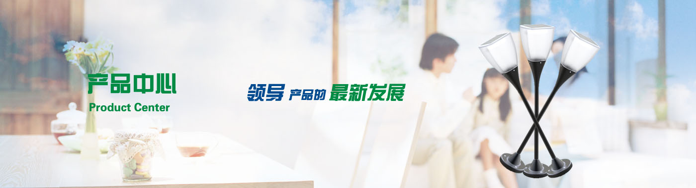 描述